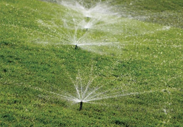 Manutenzione giardini Ascoli